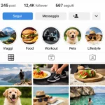 come mettere storie in evidenza nella griglia